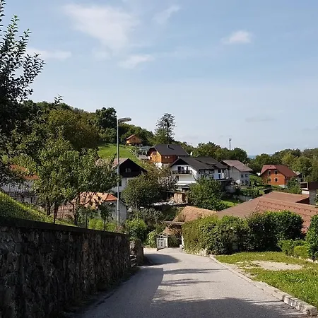 Gnezdo Vid-ik Catez ob Savi