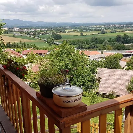 Gnezdo Vid-ik * チャテジ・オプ・サヴィ