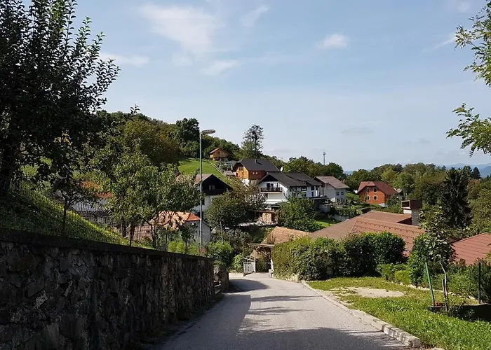 Gnezdo Vid-ik Catez ob Savi