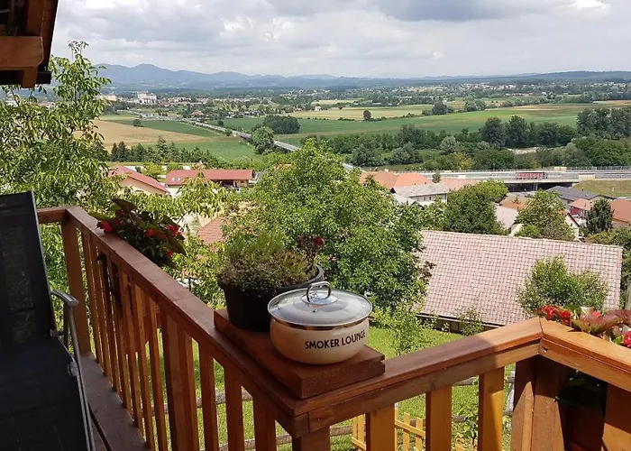 Gnezdo Vid-ik * チャテジ・オプ・サヴィ