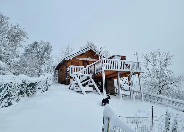 Chalet Gnezdo Vid-ik Catez ob Savi